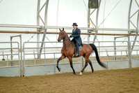 Class 067 - ASB English Three-Gaited Show Pleasure - Junior-Limit Horse