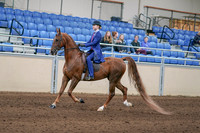 Class 121 - ASB Eng Three-Gaited Country Pl Stake