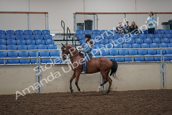 2019 Morgan Horse Show - Aug 30, 2019 - 31315