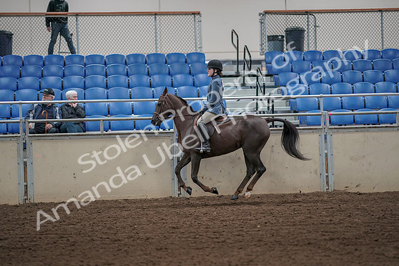 2019 Morgan Horse Show - Aug 31, 2019 - 05049