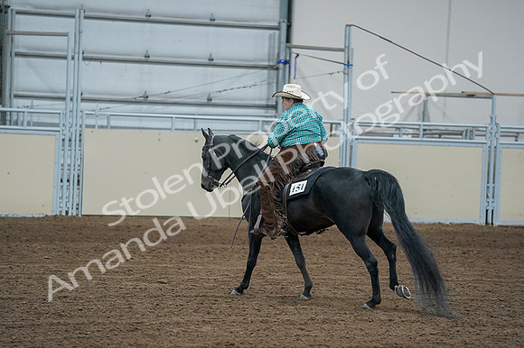 2020 - AB Morgan Horse - Fri, Sept 04 - 00622