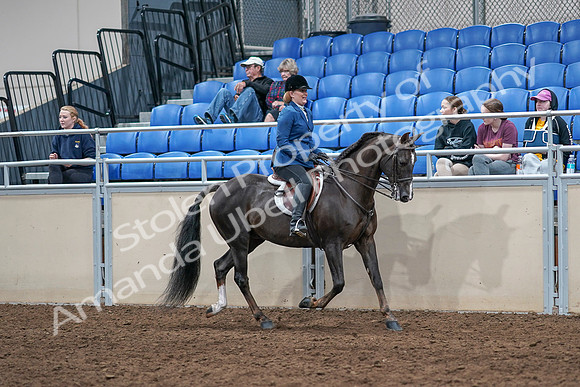 2020 - AB Morgan Horse - Sat, Sept 05 - 05082