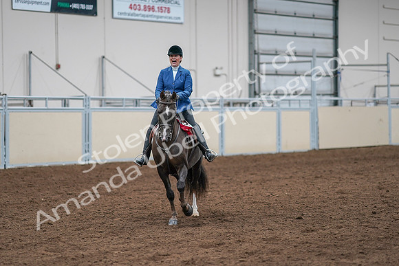 2020 - AB Morgan Horse - Sat, Sept 05 - 05250