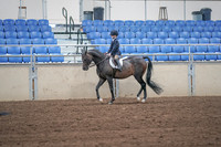 2019 Morgan Horse Show - Sept 01, 2019 - 05495