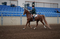 2019 Morgan Horse Show - Sept 01, 2019 - 12172