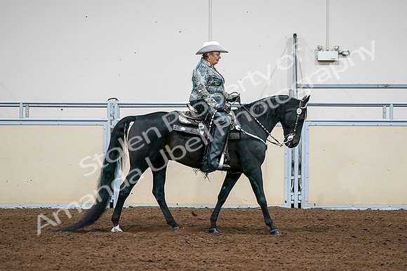 2020 - AB Morgan Horse - Fri, Sept 04 - 03539