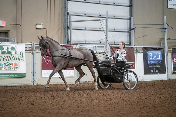 Spring Fling - Saturday - April 20, 2019  -  00211