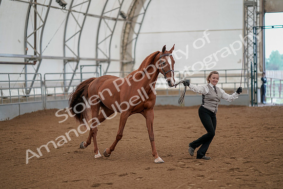 July 19, 2019 - 868