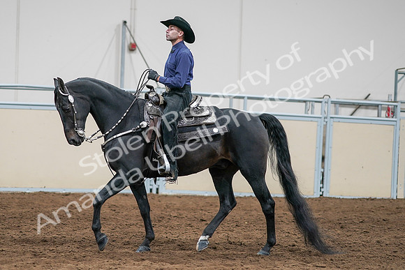 2020 - AB Morgan Horse - Sun, Sept 06 - 07656