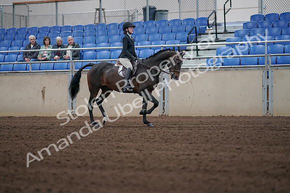 2019 Morgan Horse Show - Sept 01, 2019 - 03928