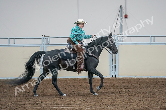 2020 - AB Morgan Horse - Fri, Sept 04 - 00615