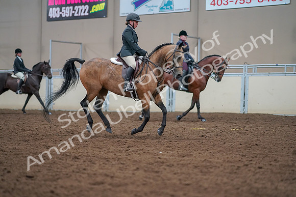 2019 Morgan Horse Show - Aug 30, 2019 - 21056