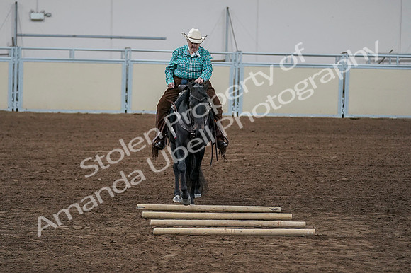 2020 - AB Morgan Horse - Fri, Sept 04 - 00510