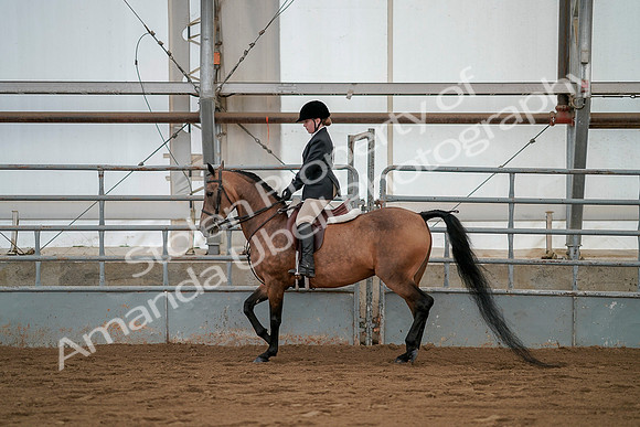 July 19, 2019 - 2561