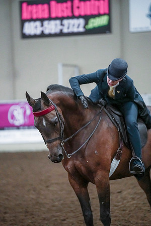 Spring Fling - Saturday - April 20, 2019  -  00864