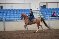 2019 Morgan Horse Show - Aug 31, 2019 - 16901