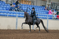 2020 - AB Morgan Horse - Sat, Sept 05 - 00815