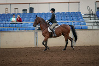 2019 Morgan Horse Show - Aug 31, 2019 - 04824