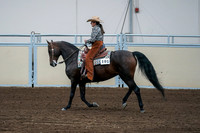 2020 - AB Morgan Horse - Fri, Sept 04 - 00410