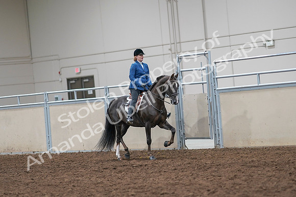 2020 - AB Morgan Horse - Sat, Sept 05 - 05063
