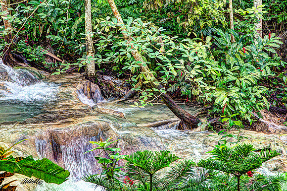 Jamaica - 027