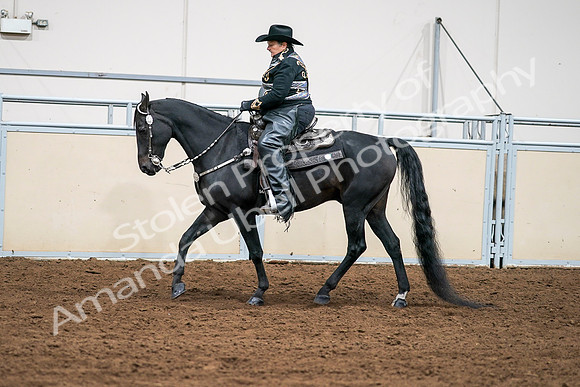 2020 - AB Morgan Horse - Sat, Sept 05 - 08905