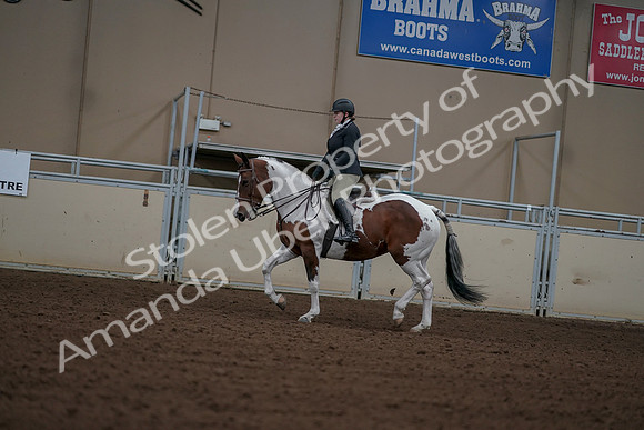 2019 Morgan Horse Show - Aug 30, 2019 - 14898