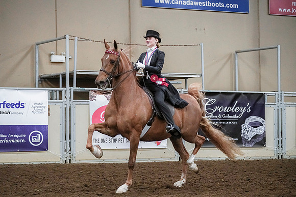 Spring Fling - Saturday - April 20, 2019  -  04457