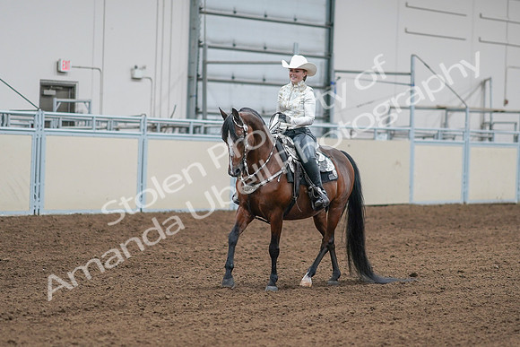 2020 - AB Morgan Horse - Sat, Sept 05 - 09014