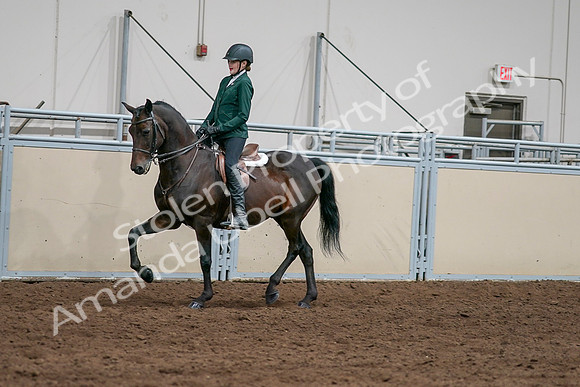2020 - AB Morgan Horse - Sat, Sept 05 - 05033
