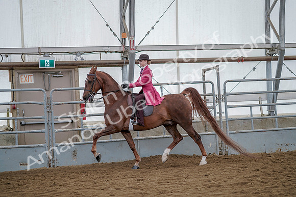 July 20, 2019 - 14503