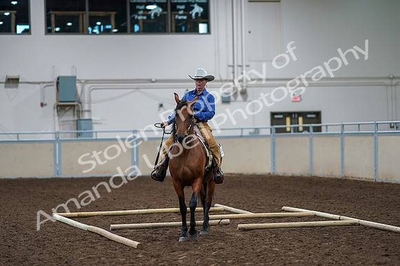 2020 - AB Morgan Horse - Fri, Sept 04 - 00275