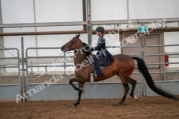 July 19, 2019 - 4010