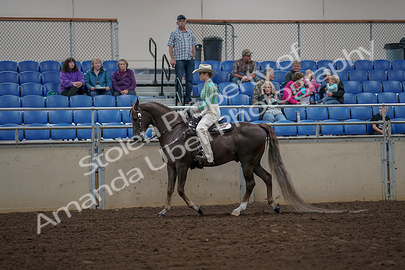 2019 Morgan Horse Show - Aug 30, 2019 - 25939