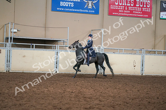 2019 Morgan Horse Show - Aug 30, 2019 - 12226