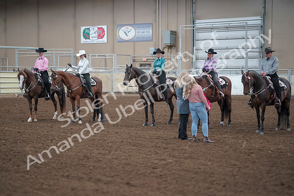 2019 Morgan Horse Show - Sept 01, 2019 - 07238