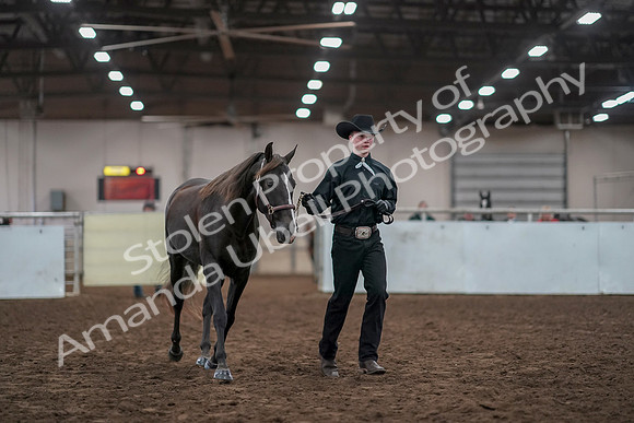 2019 Morgan Horse Show - Aug 31, 2019 - 01909