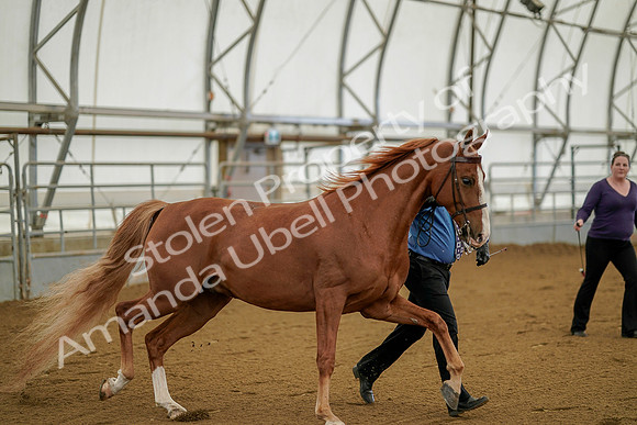 July 19, 2019 - 903