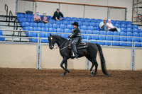 2020 - AB Morgan Horse - Sat, Sept 05 - 08867