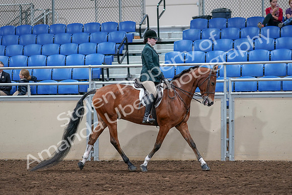 2020 - AB Morgan Horse - Sat, Sept 05 - 05187