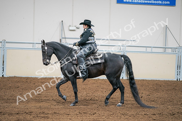 2020 - AB Morgan Horse - Sat, Sept 05 - 08968