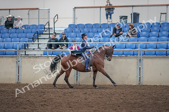 2019 Morgan Horse Show - Aug 31, 2019 - 09691