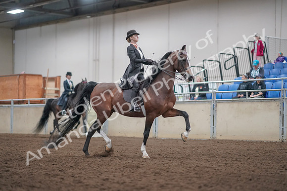 2019 Morgan Horse Show - Aug 31, 2019 - 08897