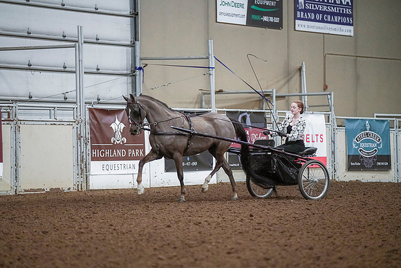 Spring Fling - Saturday - April 20, 2019  -  00206