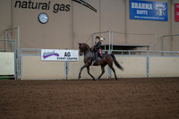 2019 Morgan Horse Show - Aug 30, 2019 - 28295