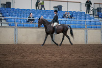 Class 166 - Morgan Hunter Pleasure - Championship