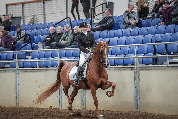 Spring Fling - Saturday - April 20, 2019  -  03711
