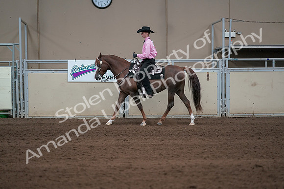 2019 Morgan Horse Show - Sept 01, 2019 - 06903
