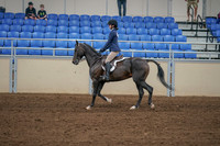 2020 - AB Morgan Horse - Sat, Sept 05 - 01175