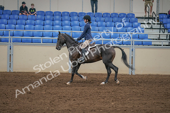 2020 - AB Morgan Horse - Sat, Sept 05 - 01175
